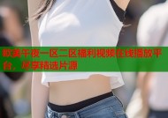 欧美午夜一区二区福利视频在线播放平台，尽享精选片源