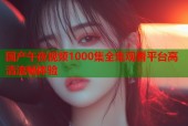 国产午夜视频1000集全集观看平台高清流畅体验
