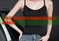 午夜DJ视频免费在线看畅享极致音乐直播体验