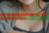 国产午夜视频在线免费观看平台，随时随地尽享精彩影视(1)
