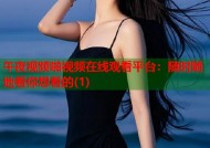 午夜视频啪视频在线观看平台：随时随地看你想看的(1)