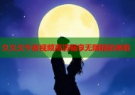 久久久午夜视频高清畅享无限精彩体验