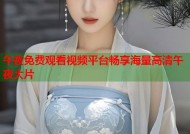 午夜免费观看视频平台畅享海量高清午夜大片