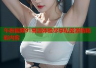 午夜视频91高清体验尽享私密激情精彩内容