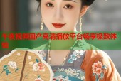 午夜视频国产高清播放平台畅享极致体验