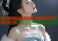 国产午夜精品视频网站高清流畅体验尽享精彩内容