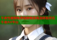午夜性视频免费视频畅享高清体验尽在午夜AV平台