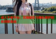成人午夜平台：无限娱乐与隐私保护的夜间聚集地