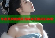 午夜爽爽视频高清畅享无限精彩体验