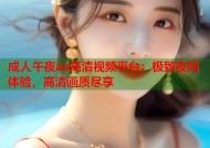 成人午夜aa高清视频平台：极致夜间体验，高清画质尽享