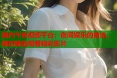国内午夜视频平台：夜间娱乐的首选，随时随地观看精彩影片