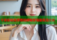 午夜影院免费看视频畅享海量高清大片