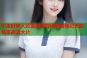 午夜好男人欧美视频在线观看精彩无限畅享高清大片