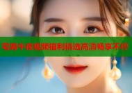 宅男午夜视频福利精选高清畅享不停