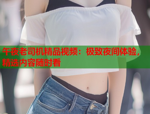午夜老司机精品视频：极致夜间体验，精选内容随时看  第1张