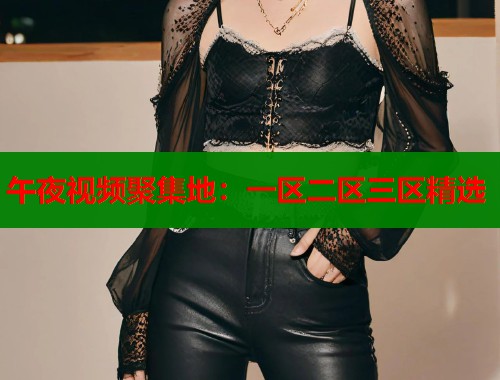 午夜视频聚集地：一区二区三区精选  第1张