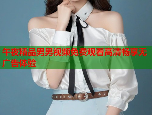 午夜精品男男视频免费观看高清畅享无广告体验  第1张