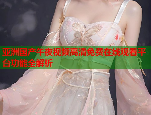 亚洲国产午夜视频高清免费在线观看平台功能全解析  第1张