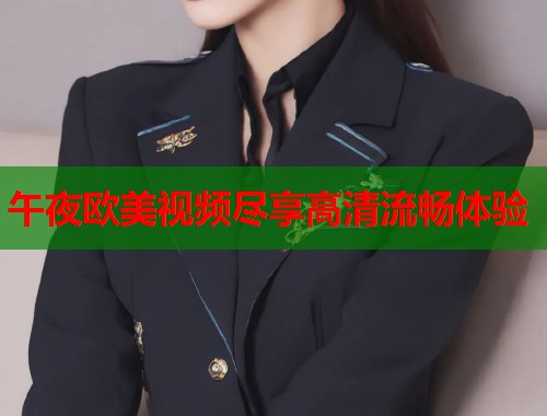 午夜欧美视频尽享高清流畅体验  第1张