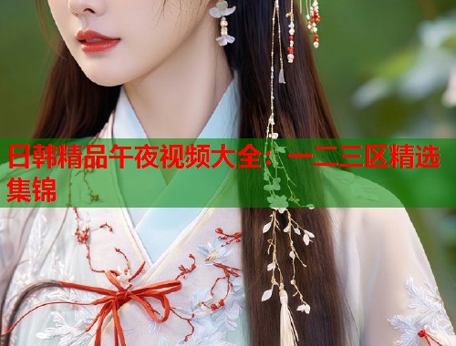 日韩精品午夜视频大全：一二三区精选集锦  第1张